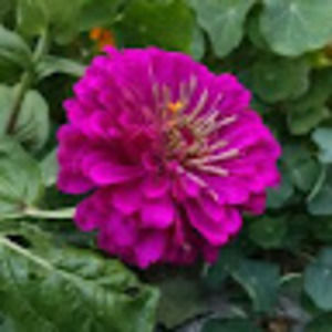 Meet your Posher, Kathy